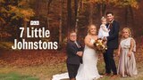 7 Little Johnstons