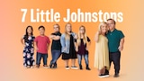 7 Little Johnstons