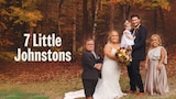 7 Little Johnstons
