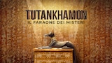 King Tut: A Century of Secrets