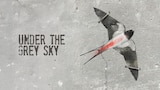Under the Grey Sky