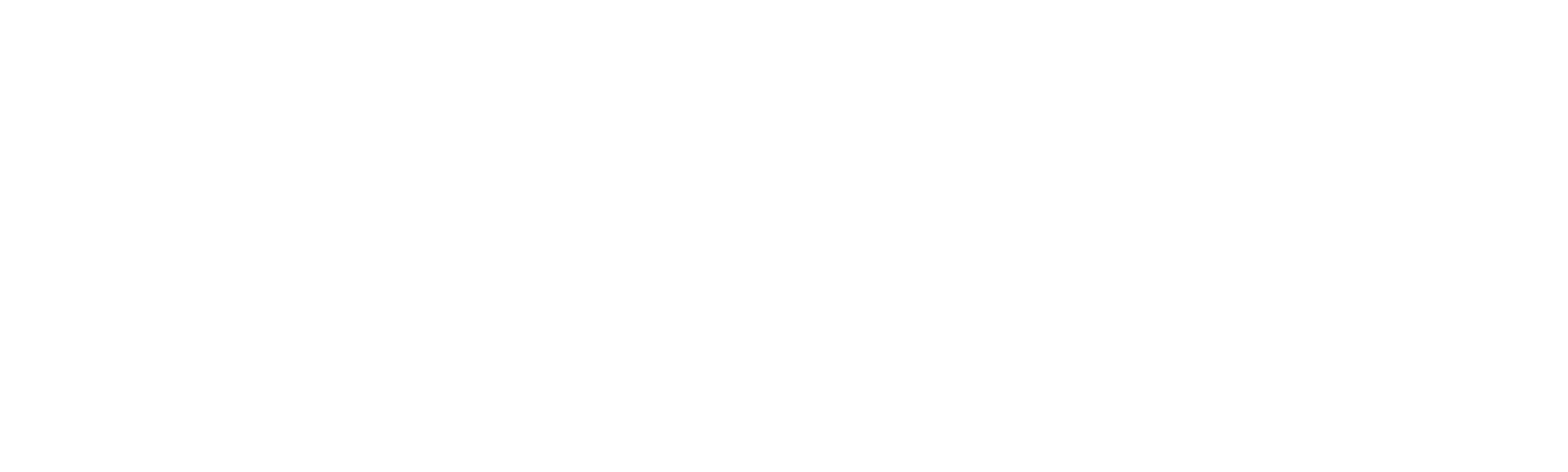 Palmemordet - den stora mörkläggningen