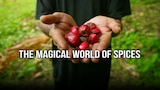 The Magical World Of Spices
