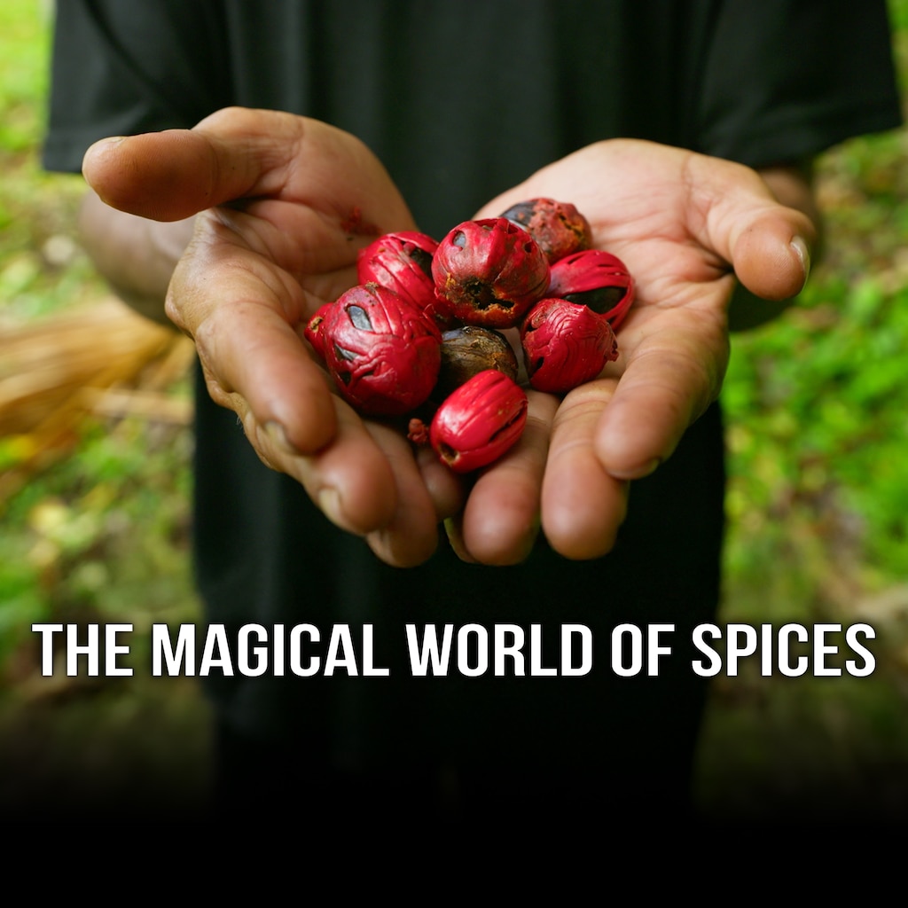 The Magical World Of Spices