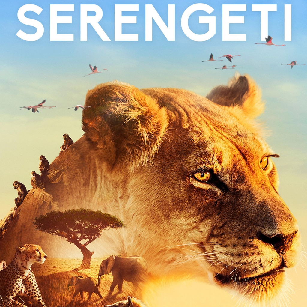 Serengeti