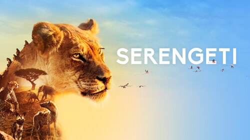 Watch Serengeti | Season 1 Episode 2 | HBO Max