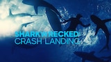 Sharkwrecked: Crash Landing