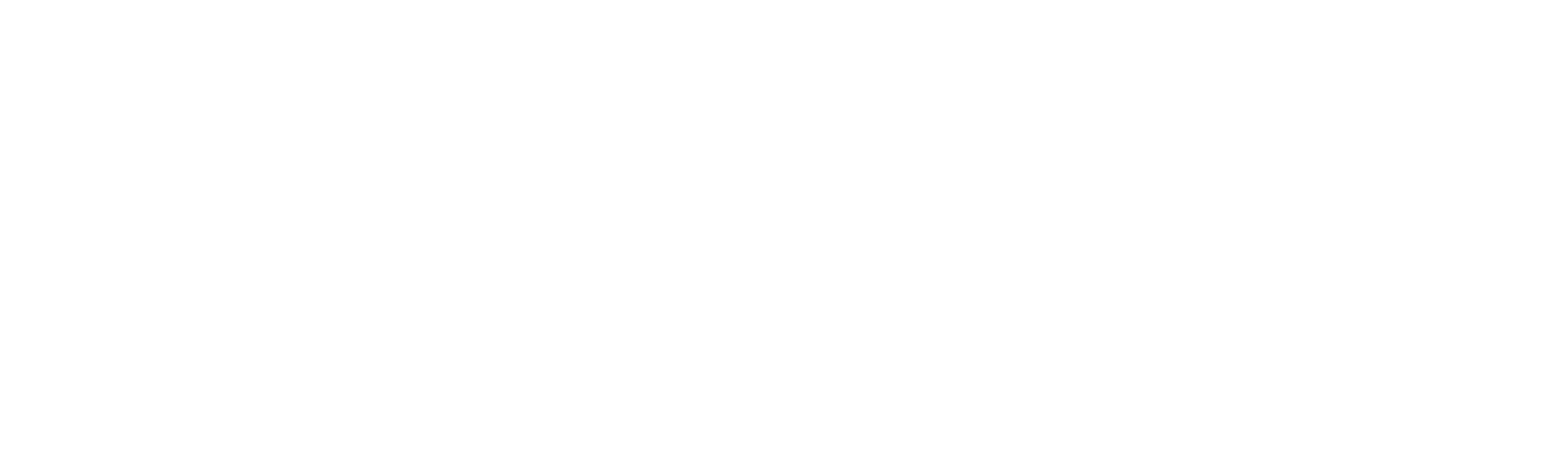 Dumb Money