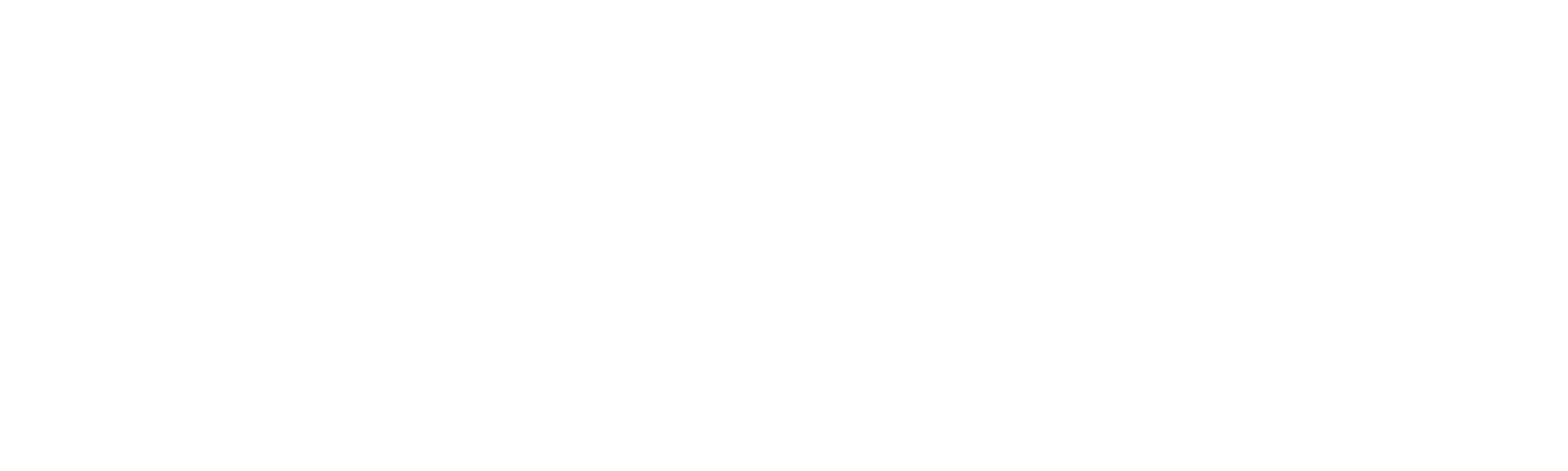 El cuento de la criada