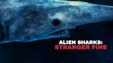 Alien Sharks: Stranger Fins
