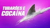 Tubarões e Cocaína