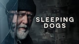 Sleeping Dogs