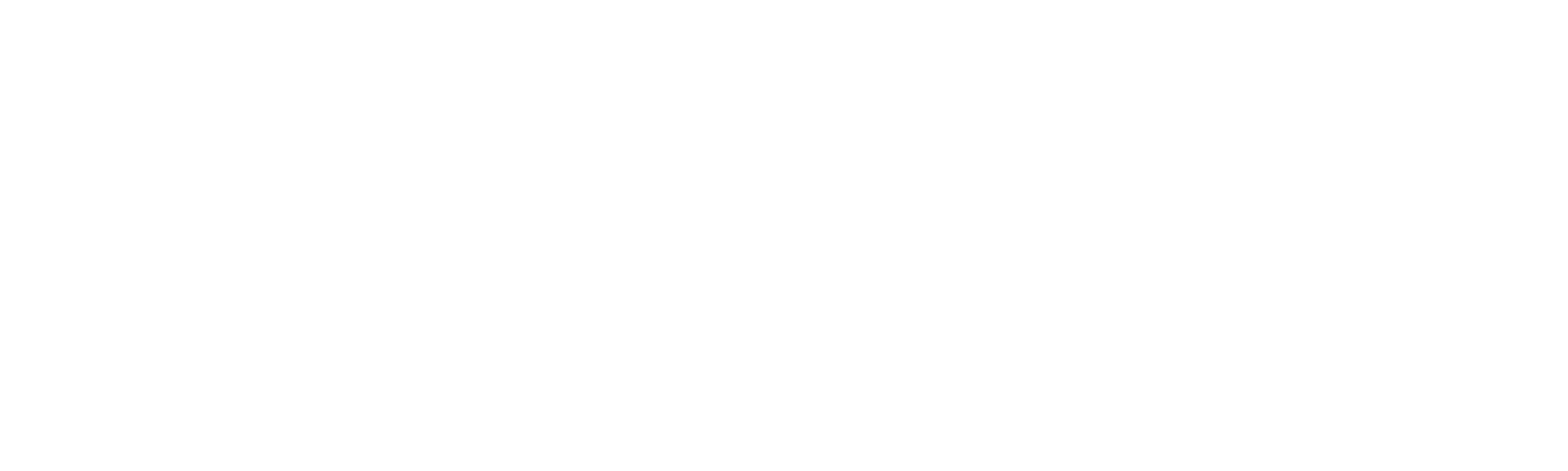 Laži kojima se služimo