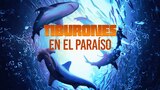 Tiburones en el paraíso