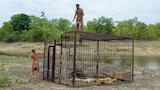 Caged and Enraged