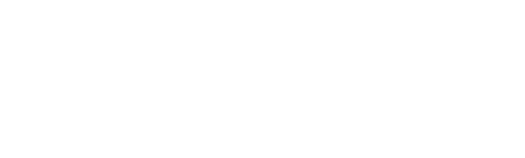 Mirada policial