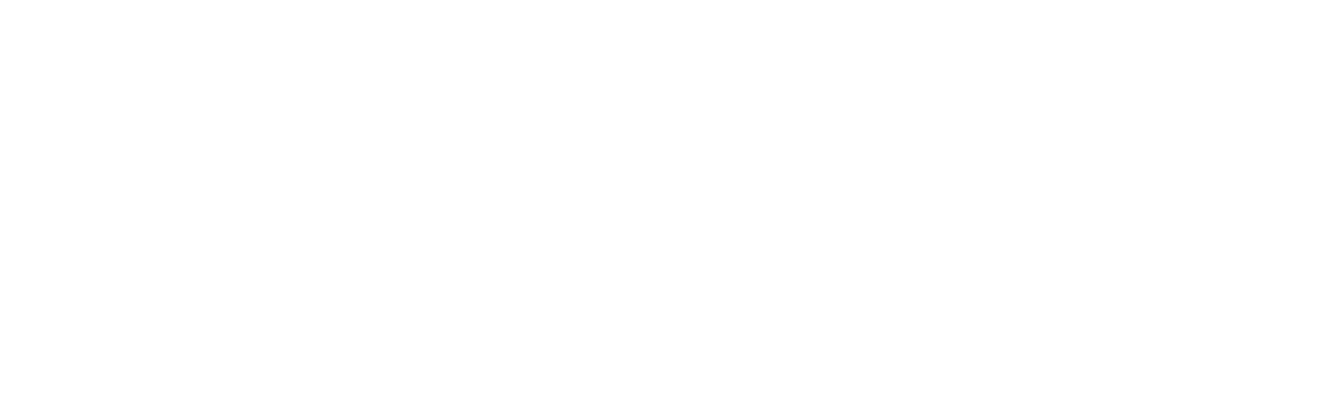 Mirada policial