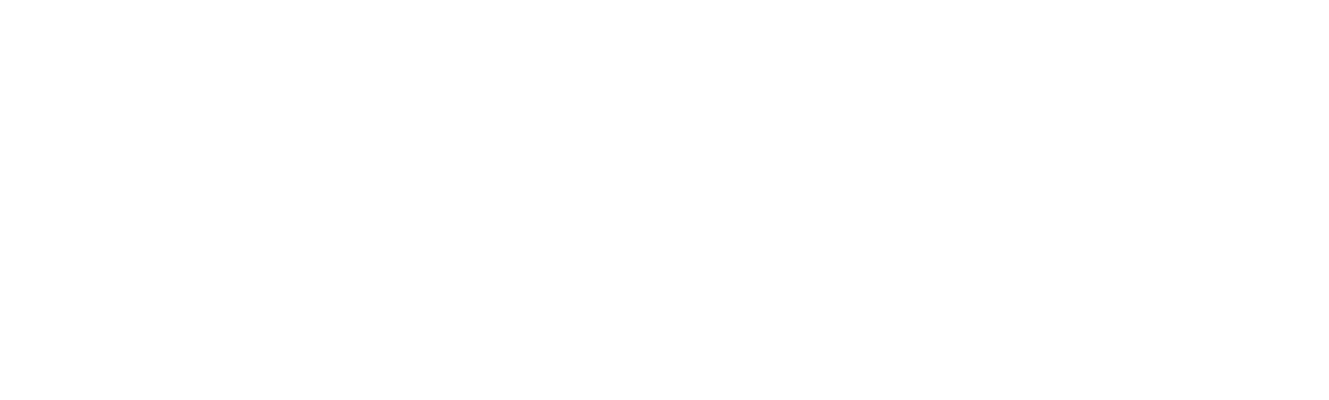 Fritzi: A Revolutionary Tale