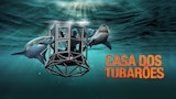 Casa dos Tubarões