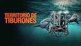 Territorio de tiburones