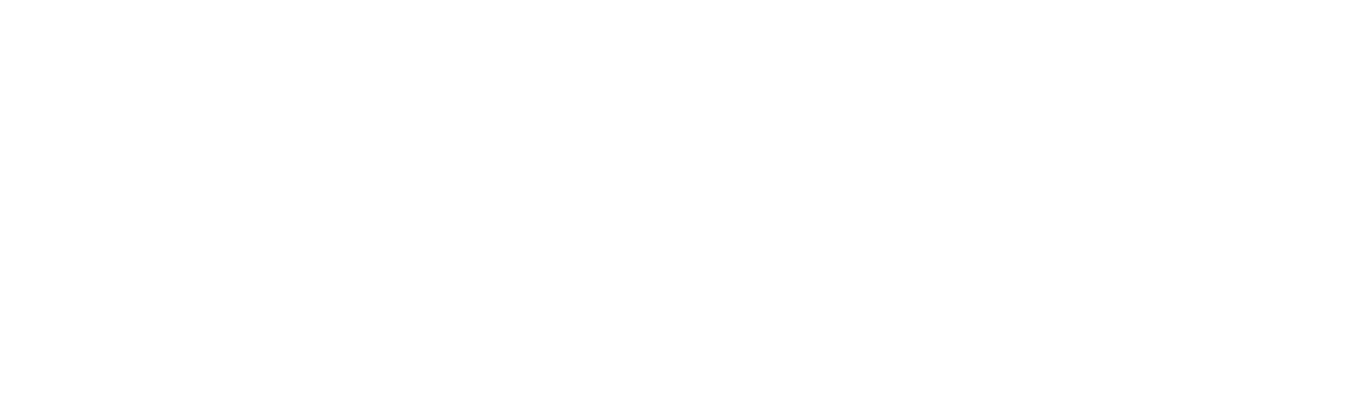 The Ringleader: The Case of the Bling Ring