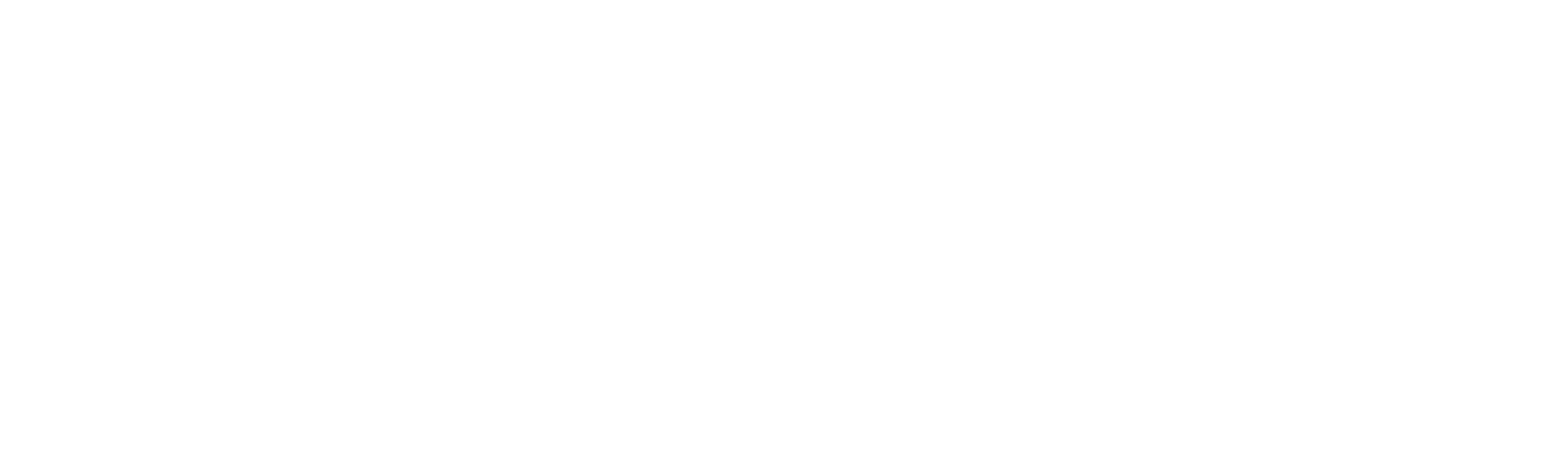 Kolovođa: Slučaj "Bling ring"