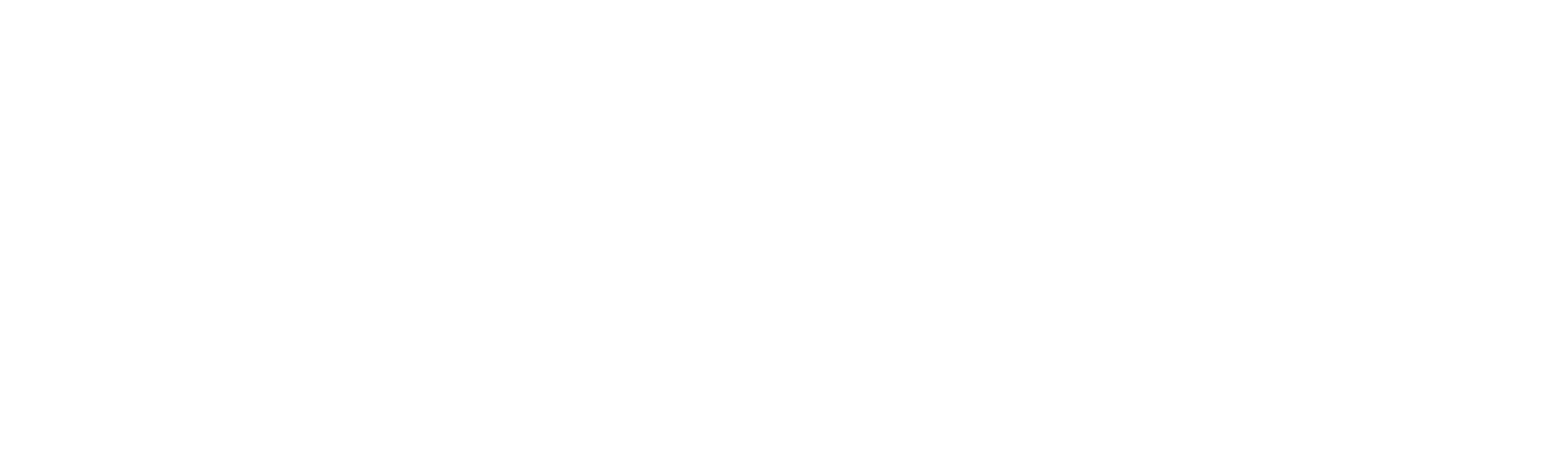 Cazul grupului Bling Ring