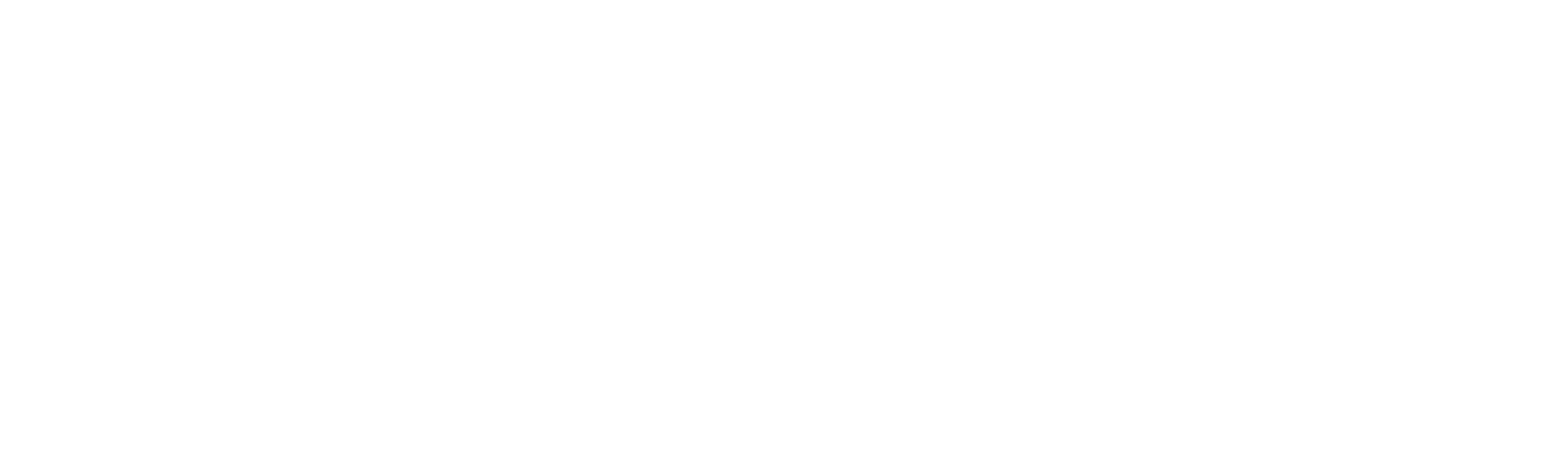 Kolovođa: Slučaj bande Bling Ring