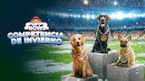 Puppy Bowl: competencia de invierno