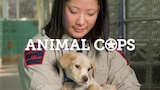 Animal Cops Philadelphia