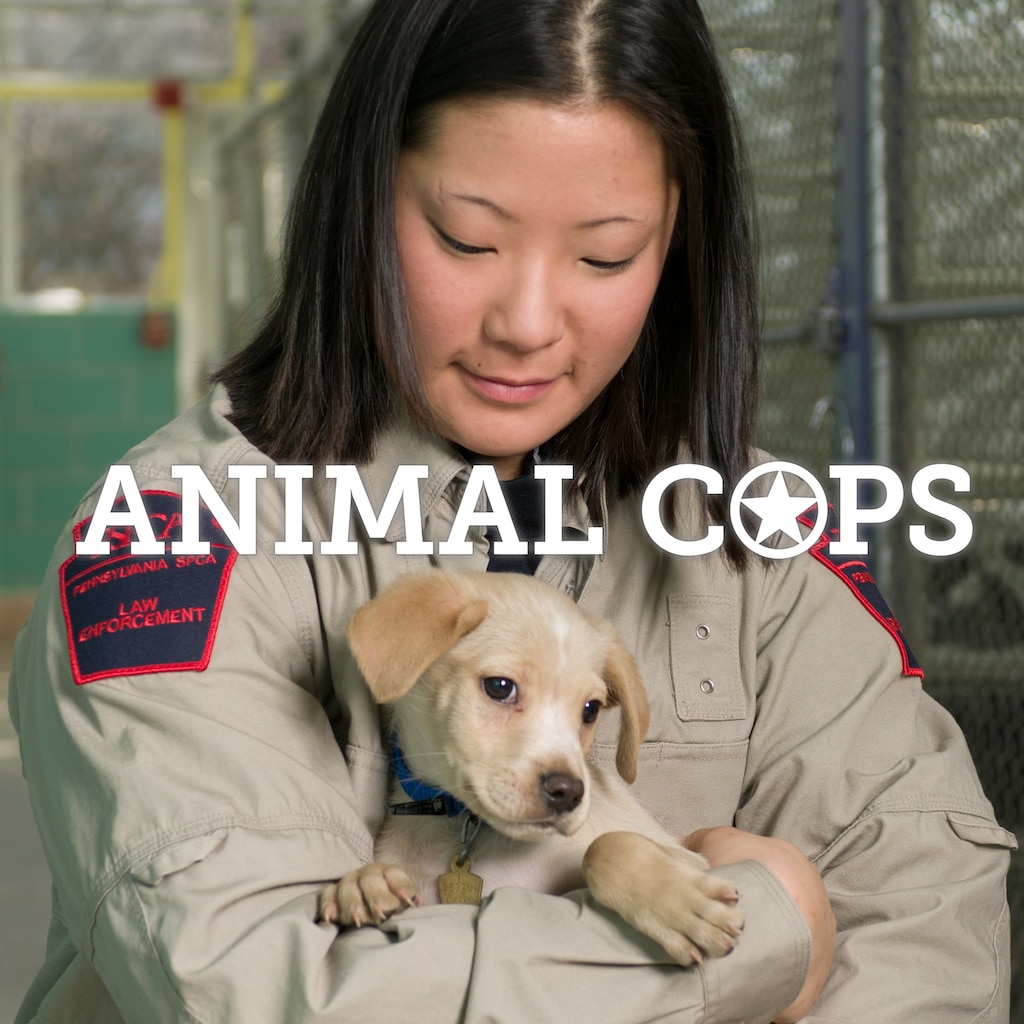 Animal Cops Philadelphia