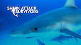 Shark Attack Survivors