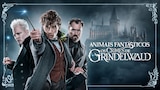 Animais Fantásticos: Os Crimes de Grindelwald