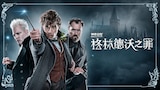 神奇动物：格林德沃之罪