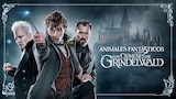 Animales fantásticos: Los crímenes de Grindelwald