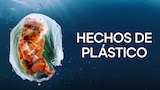 Hechos de Plástico