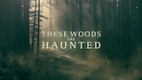 These Woods Are Haunted