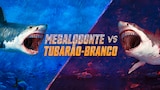 Megalodonte Vs Tubarão-branco