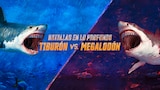 Batallas en lo profundo: tiburón vs. megalodón