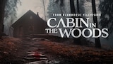 Cabin in the Woods