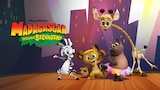 Madagascar: Pequenos Selvagens