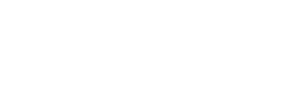 Madagascar: A Little Wild