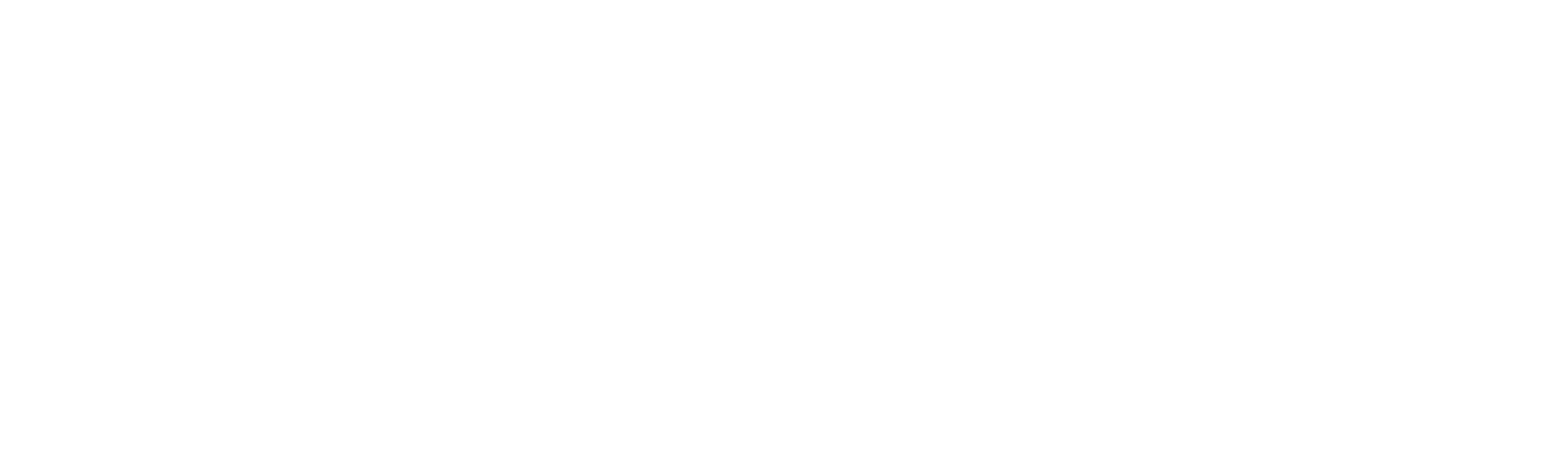 Madagascar: A Little Wild