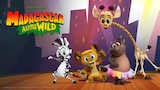 Madagascar: A Little Wild