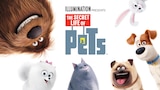 The Secret Life of Pets