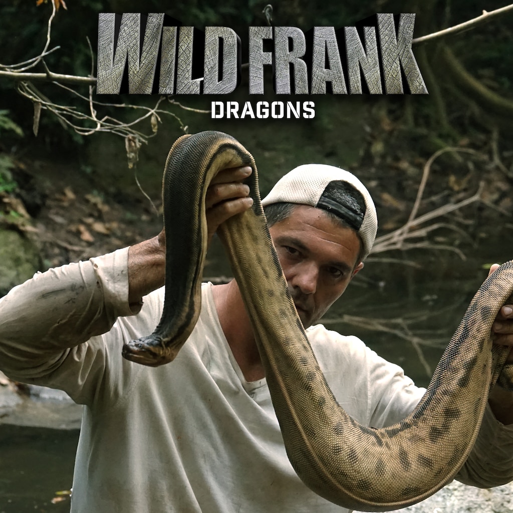 Wild Frank Dragons