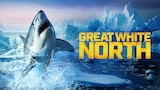 Great White North