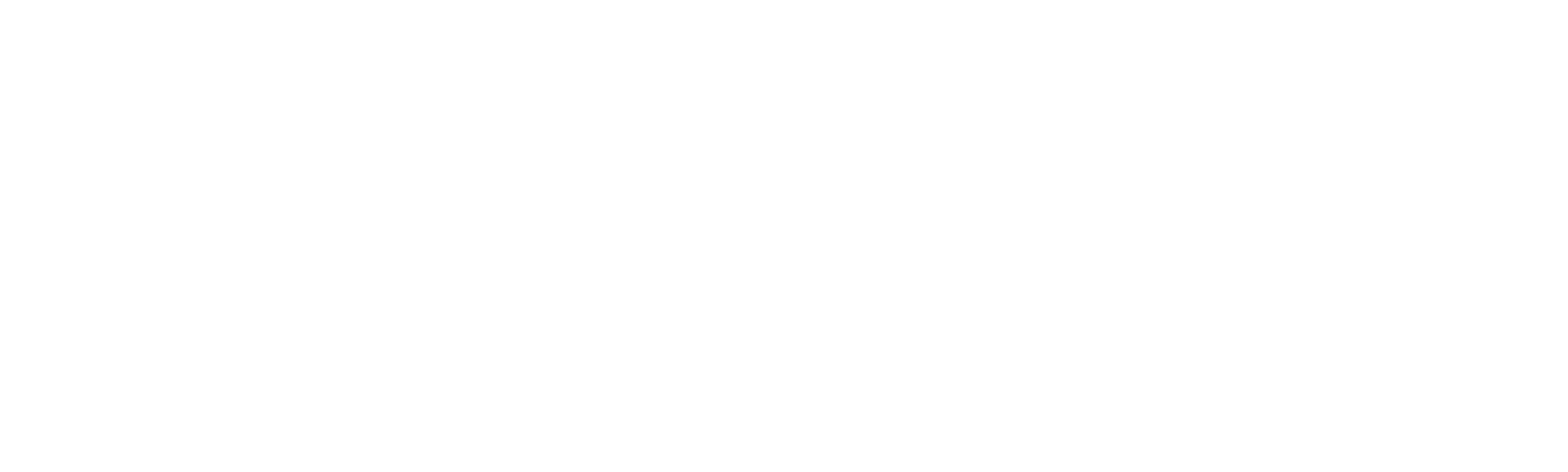 Američka fikcija