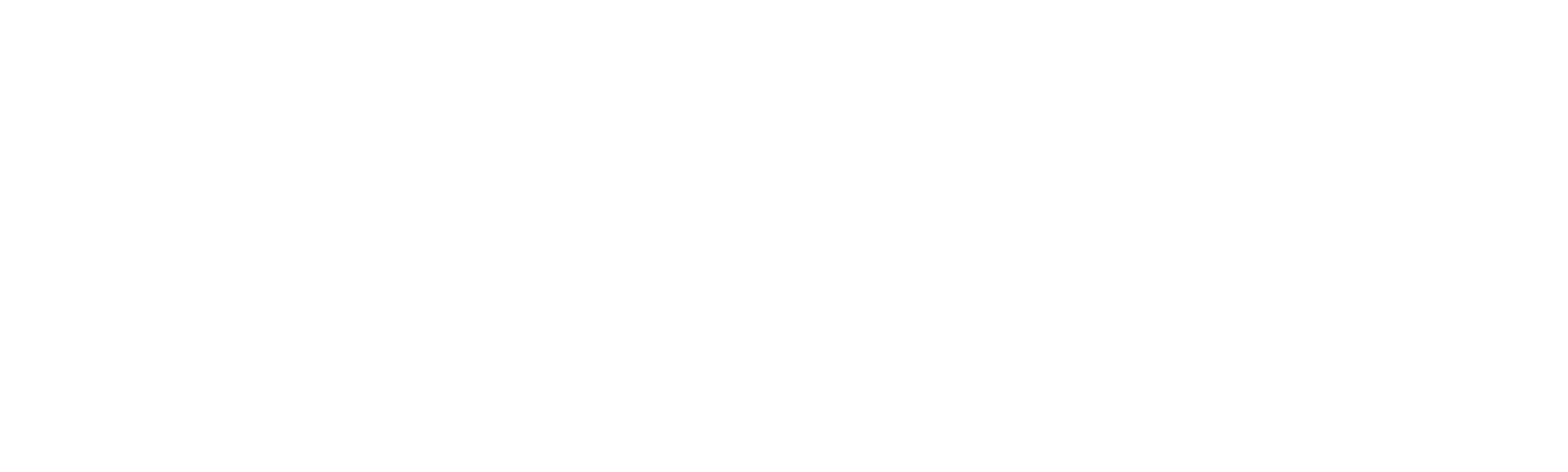 Americká fikce