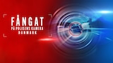 Fångat på polisens kamera Danmark